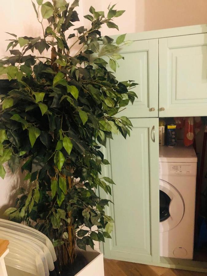 Charme Holidays Trastevere 3 Rzym Zewnętrze zdjęcie